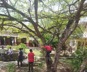 BS21 EKM 27004 2.jpg