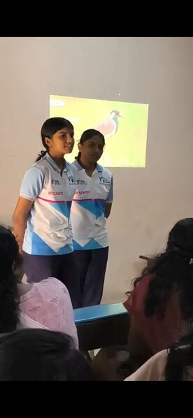 പ്രമാണം:BS21 KLM 40021 6.jpg