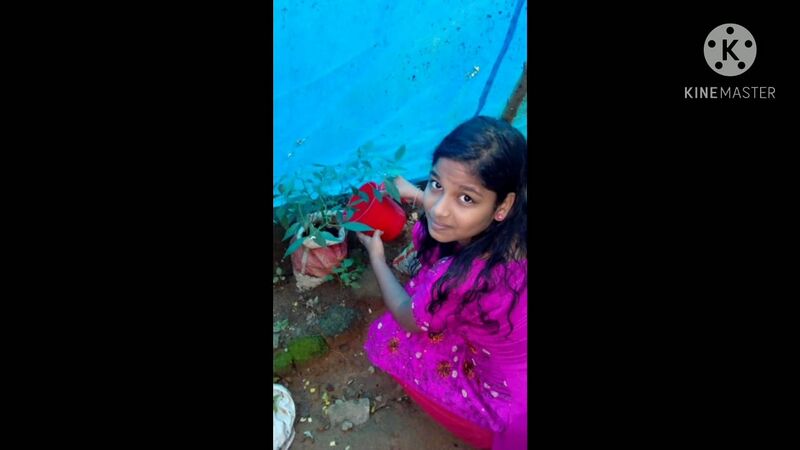 പ്രമാണം:Eco33 43065.jpeg