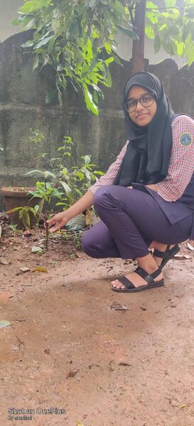 പ്രമാണം:WITH MY TREE 5.jpg