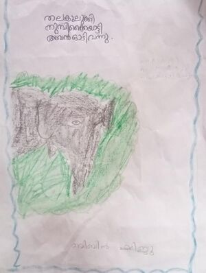 WhatsApp Image 2024-03-15 at 2.30.37 PM.jpeg