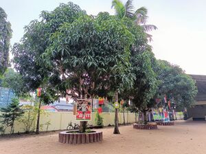 Worldcuptree 35052 22 (5).jpg