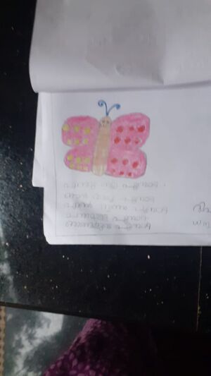 16327-KKD-KUNJ-YANSH VED.jpg