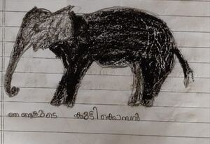 17530 KKD AMEYAKRISHNA.jpg