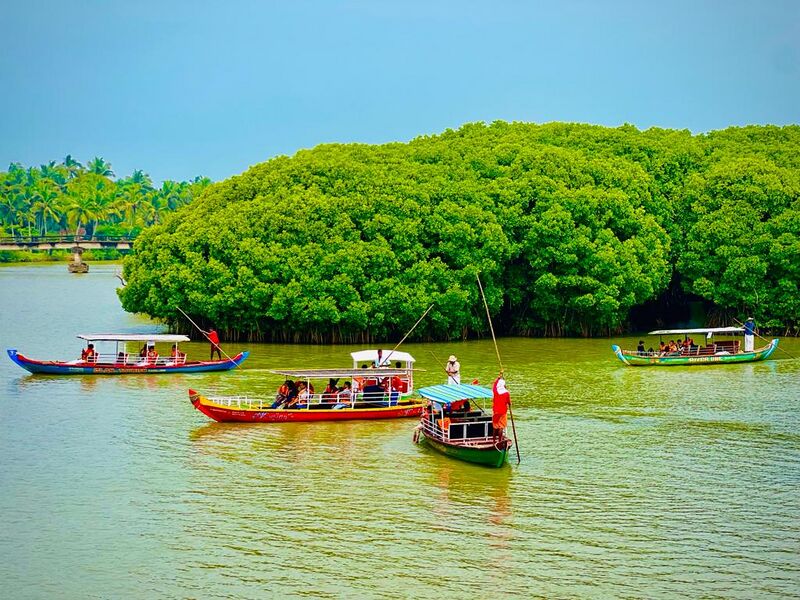 പ്രമാണം:19455-VALLIKKUNNU-MANGROVE.jpg
