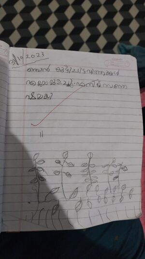 19512-MLP-KUNJ-RADWA MEHRIN.jpeg