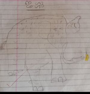 19629-MLP-KUNJ-SANHA FATHIMA.jpeg