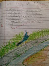 FATHIMA FIDHA P,Class 1 B