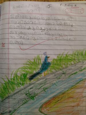 19814MLP KUNJ FATHIMA FIDHA P.jpeg