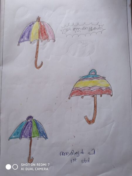 പ്രമാണം:20319-PKD-KUNJ-ADITHYAN .jpg