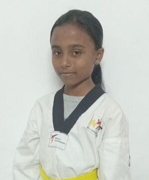 22076 Teakwondo3.jpg