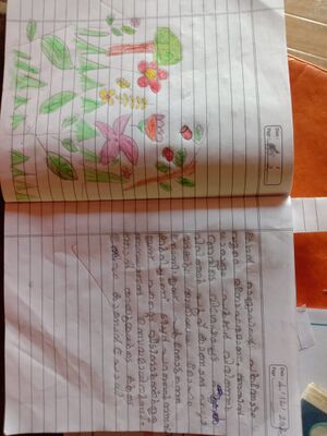 23316-TSR-KUNJ-DELNAROSE.jpeg