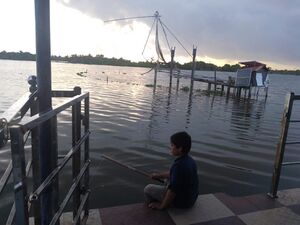 26056 ameersha mob.jpg