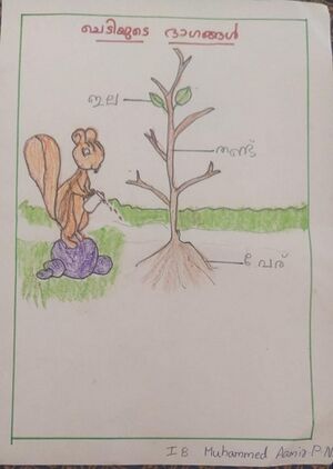 26207-EKM-KUNJ-MUHAMMED AAMIR.jpeg