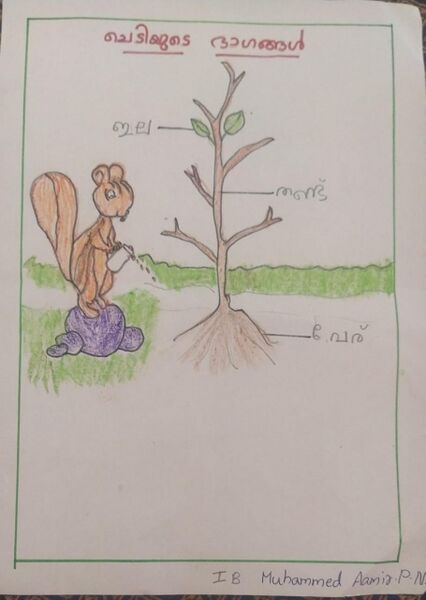 പ്രമാണം:26207-EKM-KUNJ-MUHAMMED AAMIR.jpeg