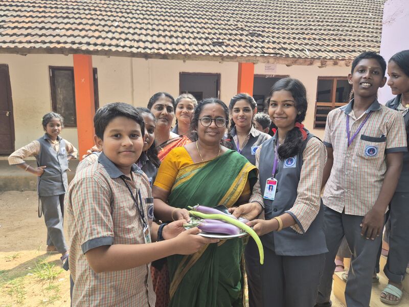 പ്രമാണം:35026 seed26.jpg