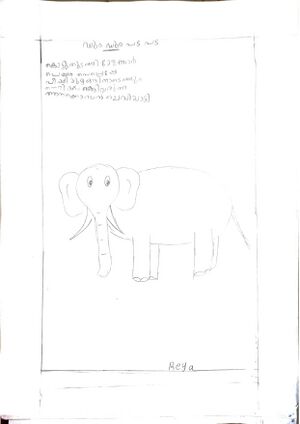 38073-PTA-KUNJ-REYA RAGIN SEKHAR.jpg