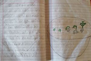 38241 pta kunj 06.jpg