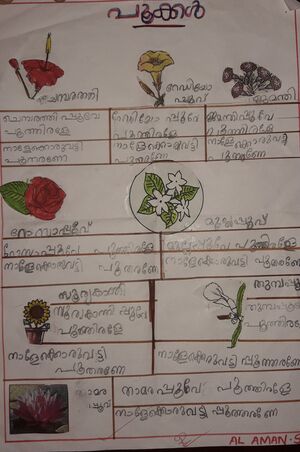 43214-TVM-KUNJU-AL AMAN 1.jpg