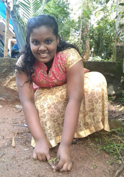 പ്രമാണം:44072 9.jpg