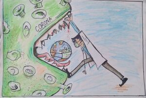 47080 picture15.jpeg