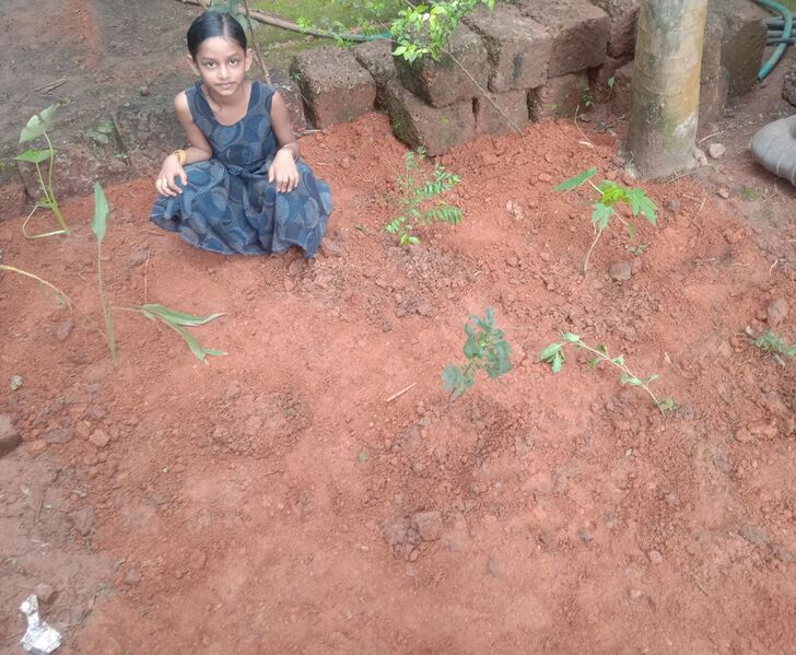 പ്രമാണം:48239 pachakkarithottam3.jpeg