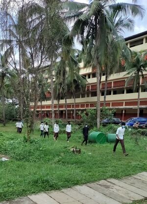 BS21 PKD 20012 1.jpg