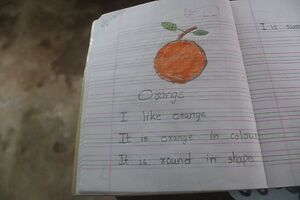 BS21 TVM 44080 4.jpg