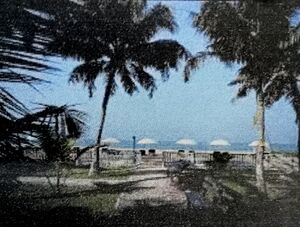 IMG 20240119 143325.jpg