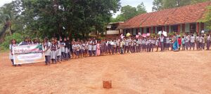 11068 drugs 23 1.jpeg