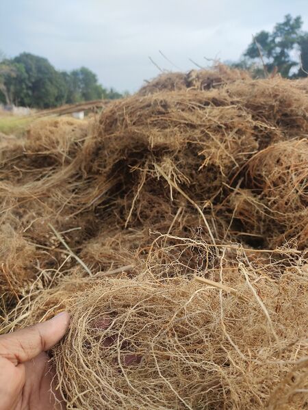 പ്രമാണം:19541 Ente gramam ramacham krishi.jpeg