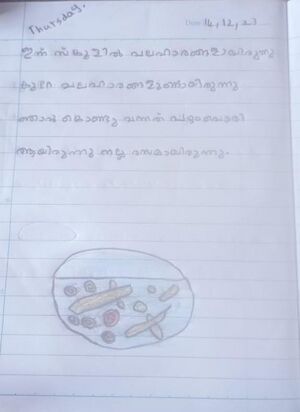 19848-MLP-KUNJ-MIRSHA 1C.jpeg