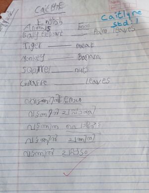 26251-EKM-KUNJU-CAITLYNE STD1.jpg