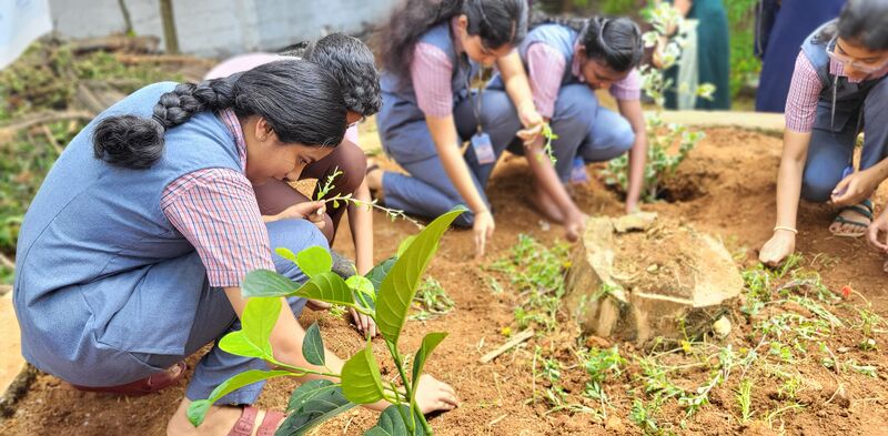 പ്രമാണം:31043 Jun 5 7 2025.jpg