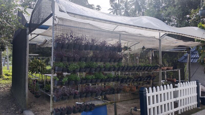 പ്രമാണം:36064-parakkattu farm2.jpg