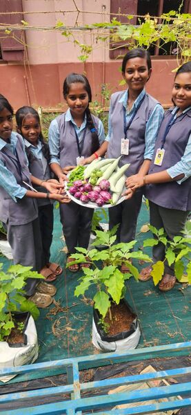 പ്രമാണം:38099 krishi1.jpg