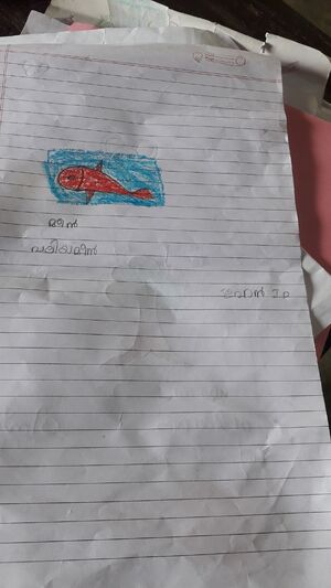 42653,irfan ,1D.jpeg