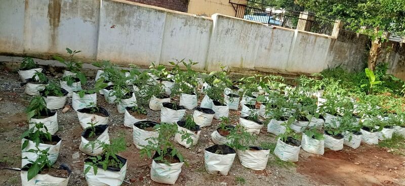 പ്രമാണം:43004 275.jpg