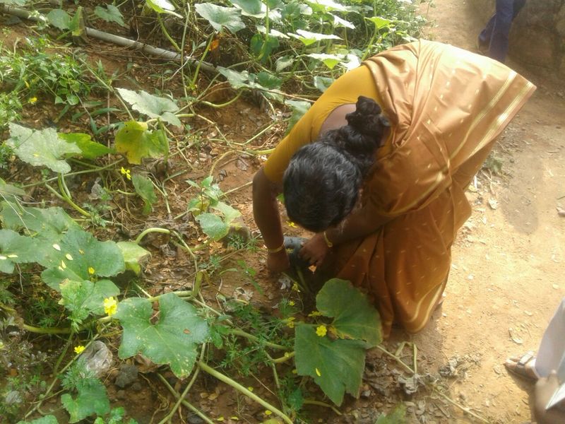 പ്രമാണം:44050 36.jpg