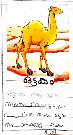 44228-TVM-KUNJ-AFSAL.jpg