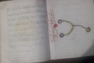 48139-MLP-KUNJ-Fousiya Fathima.jpg