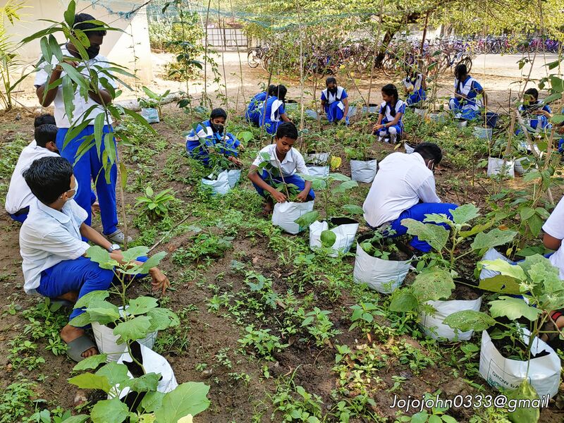 പ്രമാണം:Adukkalathottam 35052 22 (1).jpg