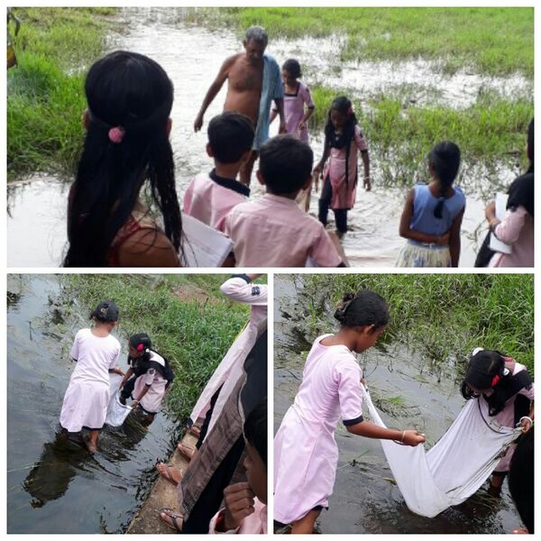 പ്രമാണം:Caesarapp 201812414162342.jpg