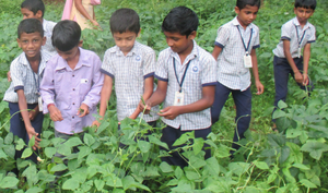 Screenshot from 2022-02-07 11-54-38.png