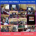 Freedom Fest Littlekites