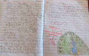 11464-KGD-KUNJ-AMINA K P.jpg