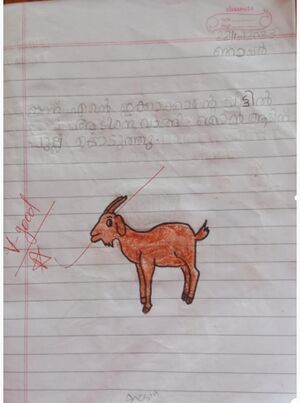 13424-KNR-KUNJ-ALEX E S.jpeg