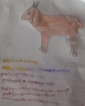 15316-WYD-KUNJ-MUHAMMED ARHAM.jpg