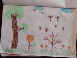 18644-MLP-KUNJ-ANAS ALI.rotated.rotated.jpg