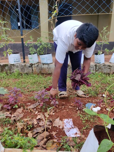 പ്രമാണം:19068 Noonmeal veg farming1.jpeg